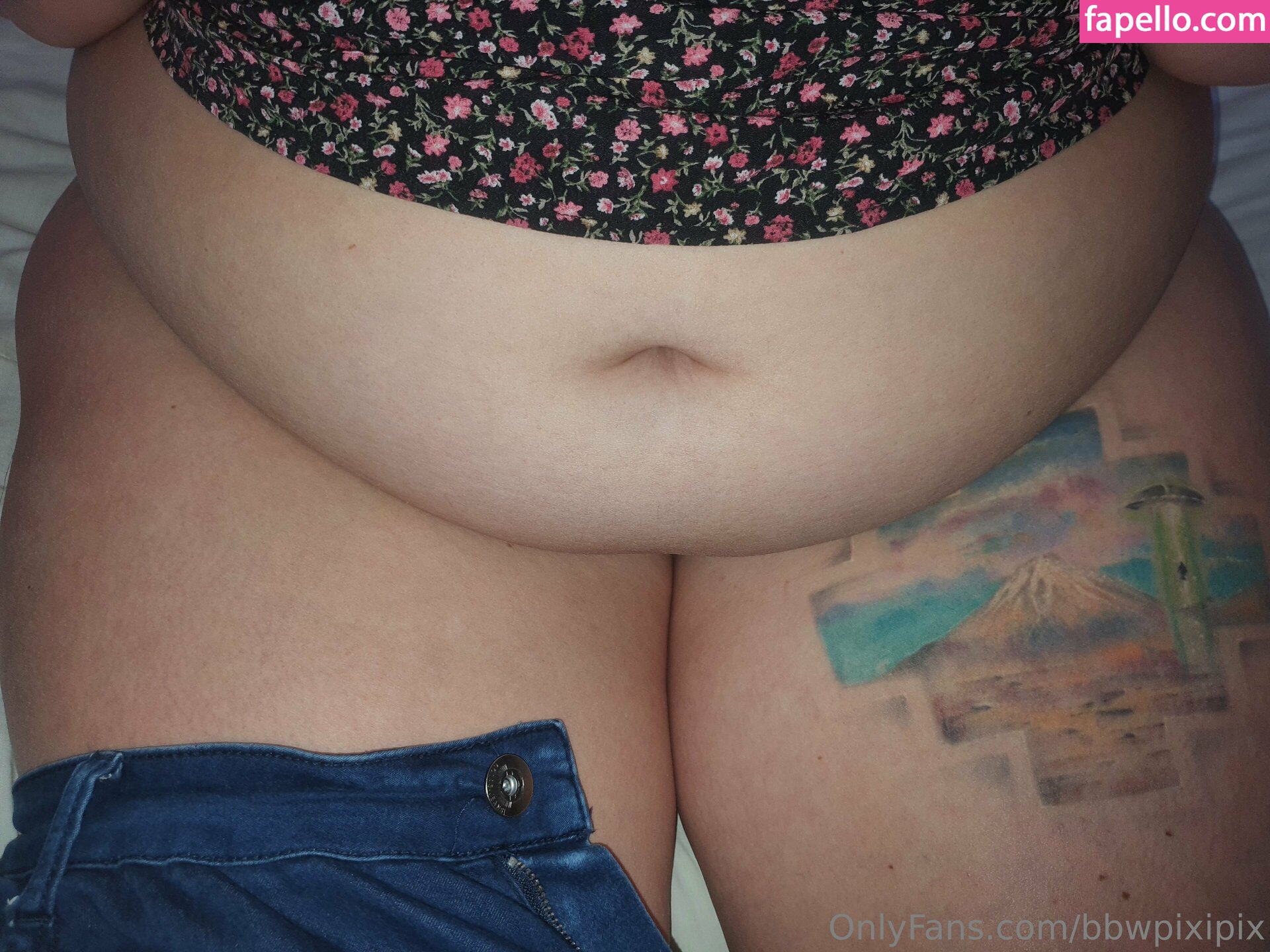 bbw_pixipix / bbwpixipix Nude Leaked OnlyFans Photo #28