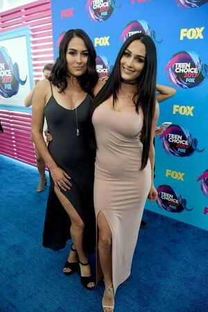 Nikki Bella #257